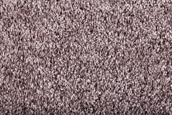 Ковролин Condor Minotti Minotti 919204 фото 1 | FLOORDEALER
